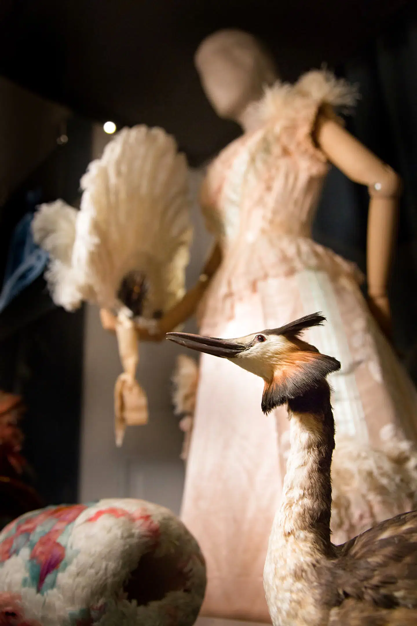 Særudstillingen Fashioned from Nature, Statens Naturhistoriske Museum.