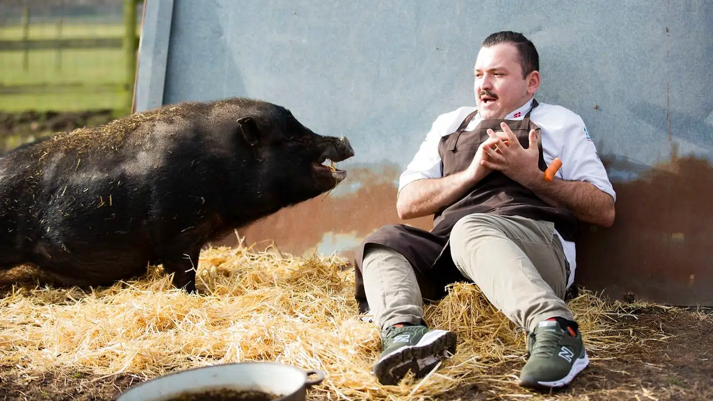»Tyrkersvin« er titlen på serien om Umut Sakarya - han elsker flæsk i alle afskygninger.