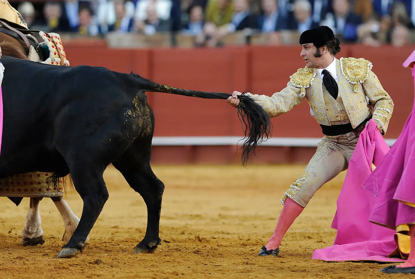 Morante de la Puebla, her fanget midt i en uortodoks manøvre i Sevillas arena, var den første tyrefægter, der åbent bekendte politisk kulør og erklærede sin støtte til det højrenationale parti Vox.