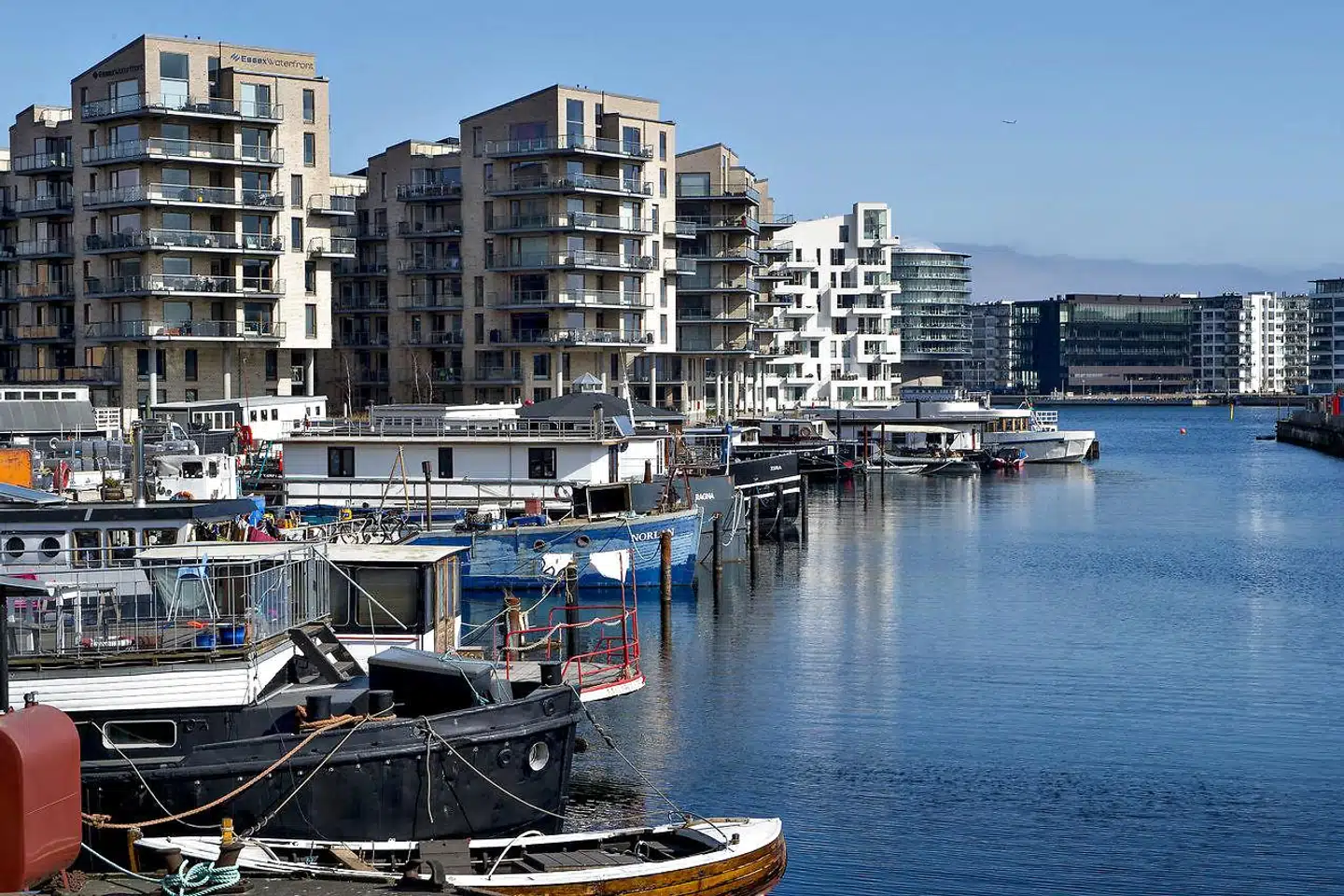 Ane Cortzen skriver om Københavns uberørte steder – som for eksempel Sydhavnstippen eller Refshaleøen med Klondike-stemning: »På DSB’s enorme areal, som ligger overfor Fisketorvet, findes der nemlig hele ni store, gamle trælader fra starten af 1900-tallet. (...) Men det er faktisk lykkedes en dedikeret flok mennesker at få lov til både at skabe en økologisk landsby og ungdomsboliger i træ på arealet.«