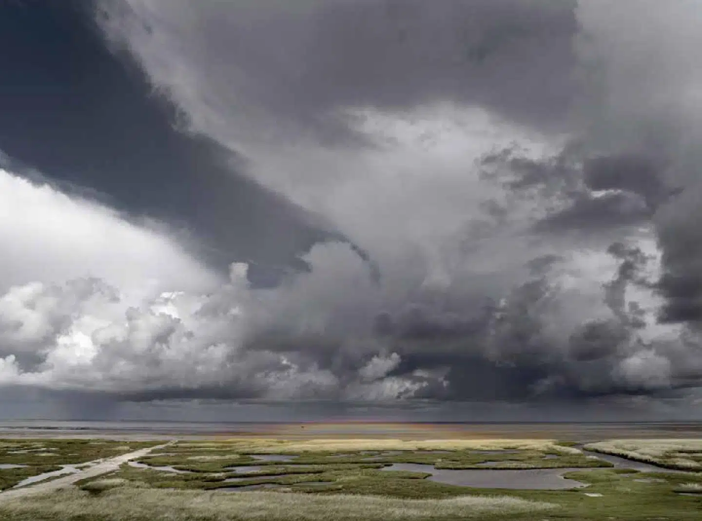 Tøndermarskens landskab ligner noget fra en salme – og det er et af de adskillige aspekter, både Henrik Saxgren og Hans Edvard Nørregaard-Nielsen trækker frem i deres fortælling om området.