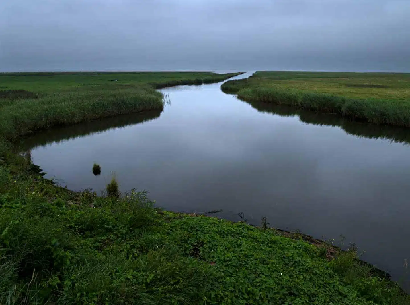 Fotografen Henrik Saxgren og forfatteren Hans Edvard Nørregaard-Nielsen har udforsket Tøndermarsken, og det er der kommet en meget vellykket bog ud af. Både landskabsbillederne og teksten om landskabet har en nærværende og intens karakter.