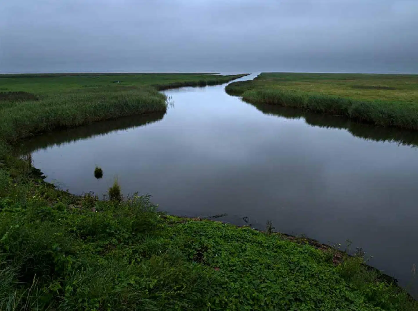 Fotografen Henrik Saxgren og forfatteren Hans Edvard Nørregaard-Nielsen har udforsket Tøndermarsken, og det er der kommet en meget vellykket bog ud af. Både landskabsbillederne og teksten om landskabet har en nærværende og intens karakter.