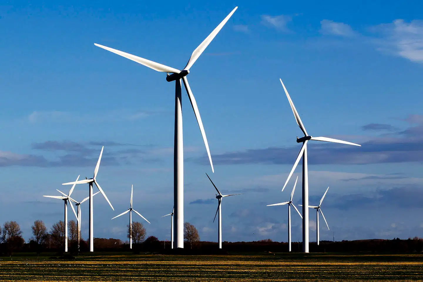 Ved hjælp af kunstig intelligens kan virksomheder være med til at udvikle mere effektiv vindenergi og samtidig forudsige klimaforandringer.