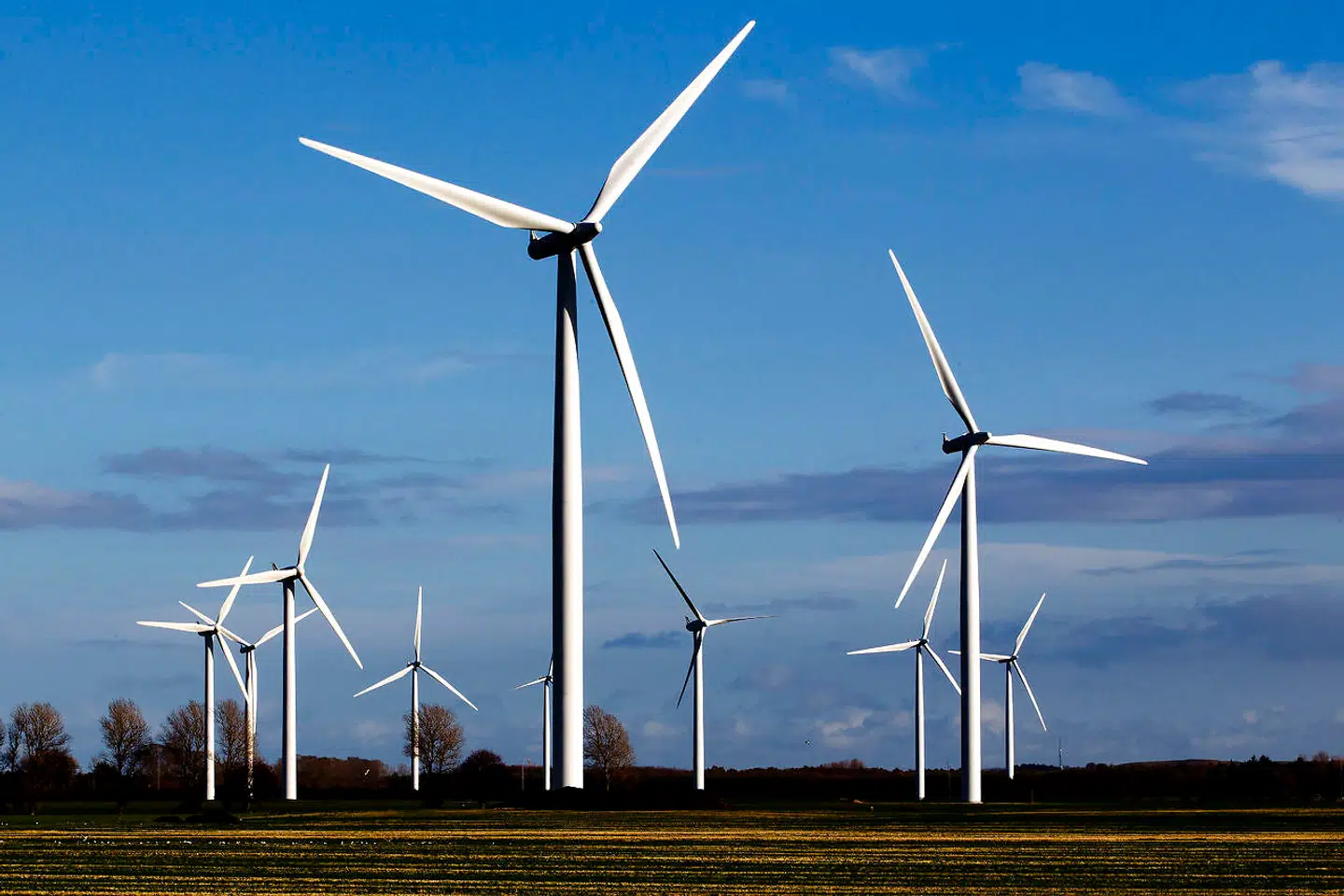 Ved hjælp af kunstig intelligens kan virksomheder være med til at udvikle mere effektiv vindenergi og samtidig forudsige klimaforandringer.