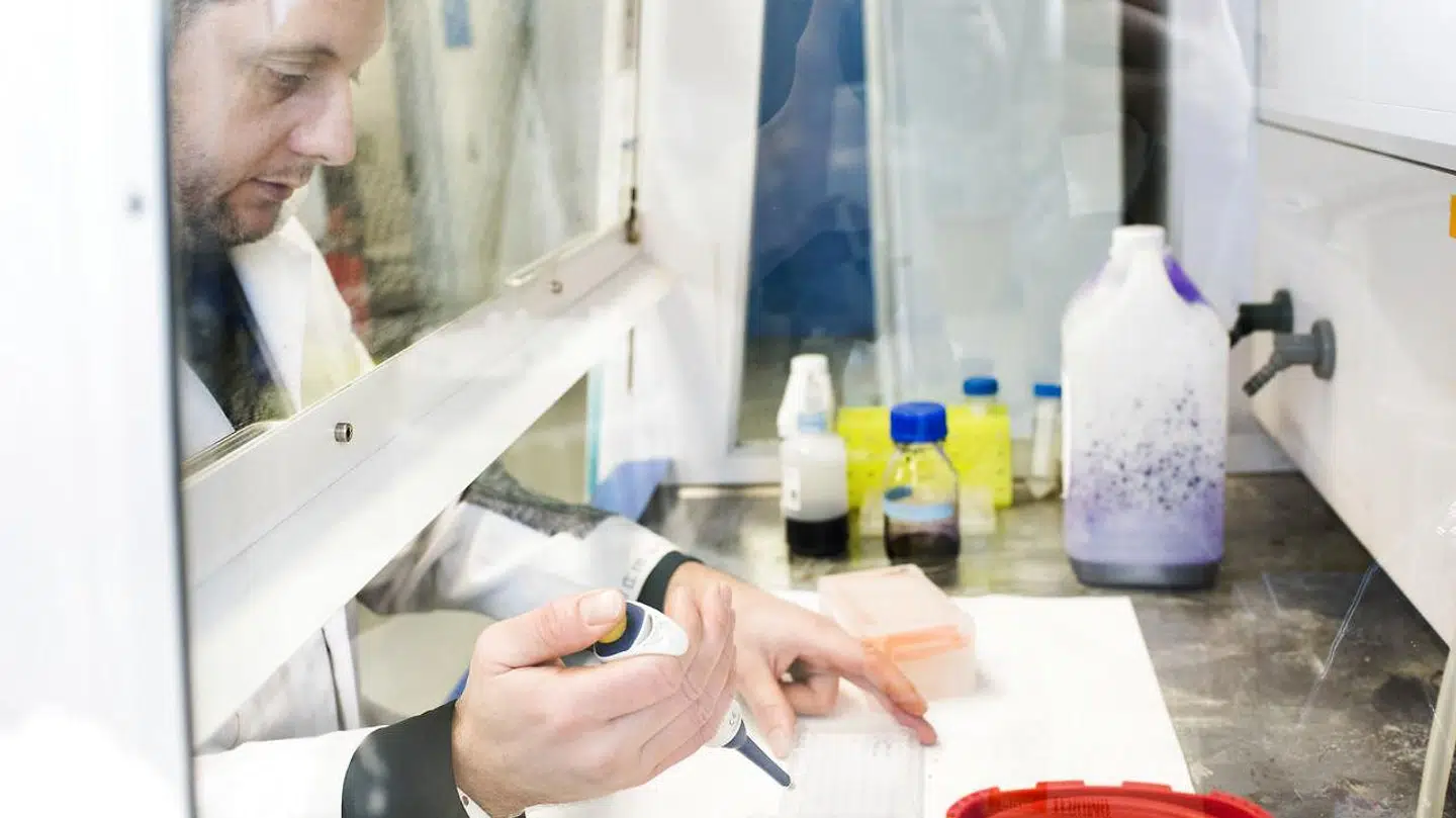 Forskningens vilkår skal være en del af valgkampens debat, ellers risikerer vi, at Danmark hægtes af den internationale konkurrence og udvikling. Foto: Arkiv/Anne Bæk/Ritzau Scanpix.