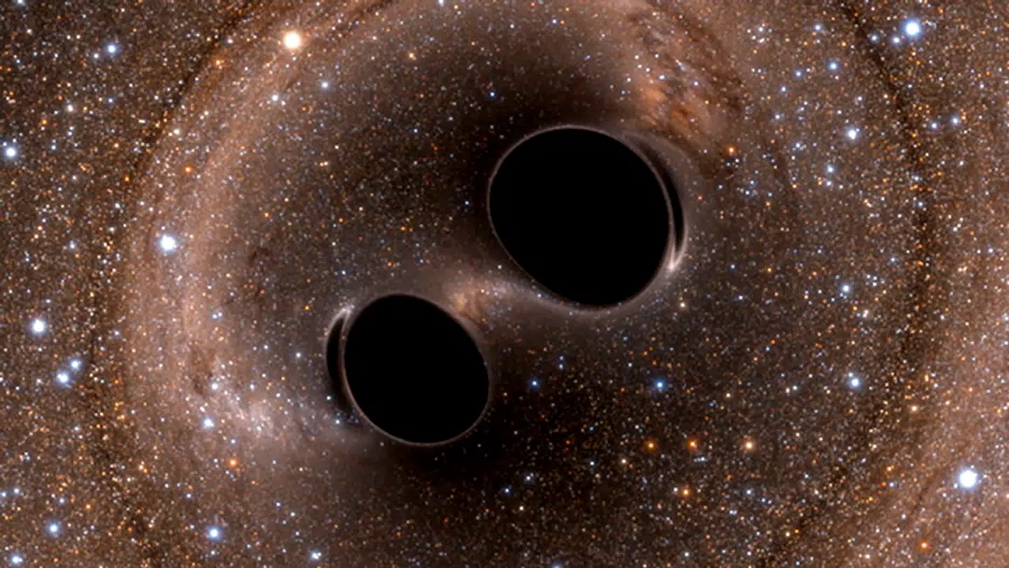 Ved hjælp af målinger af såkaldte gravitationsbølger - rynker i både rummet og tiden - er forskere i de senere år begyndt at kunne måle, hvad der sker, når to sorte huller smelter sammen med ubegribelig kraft. Her en illustration af øjeblikket kort før et sådant sammenstød.