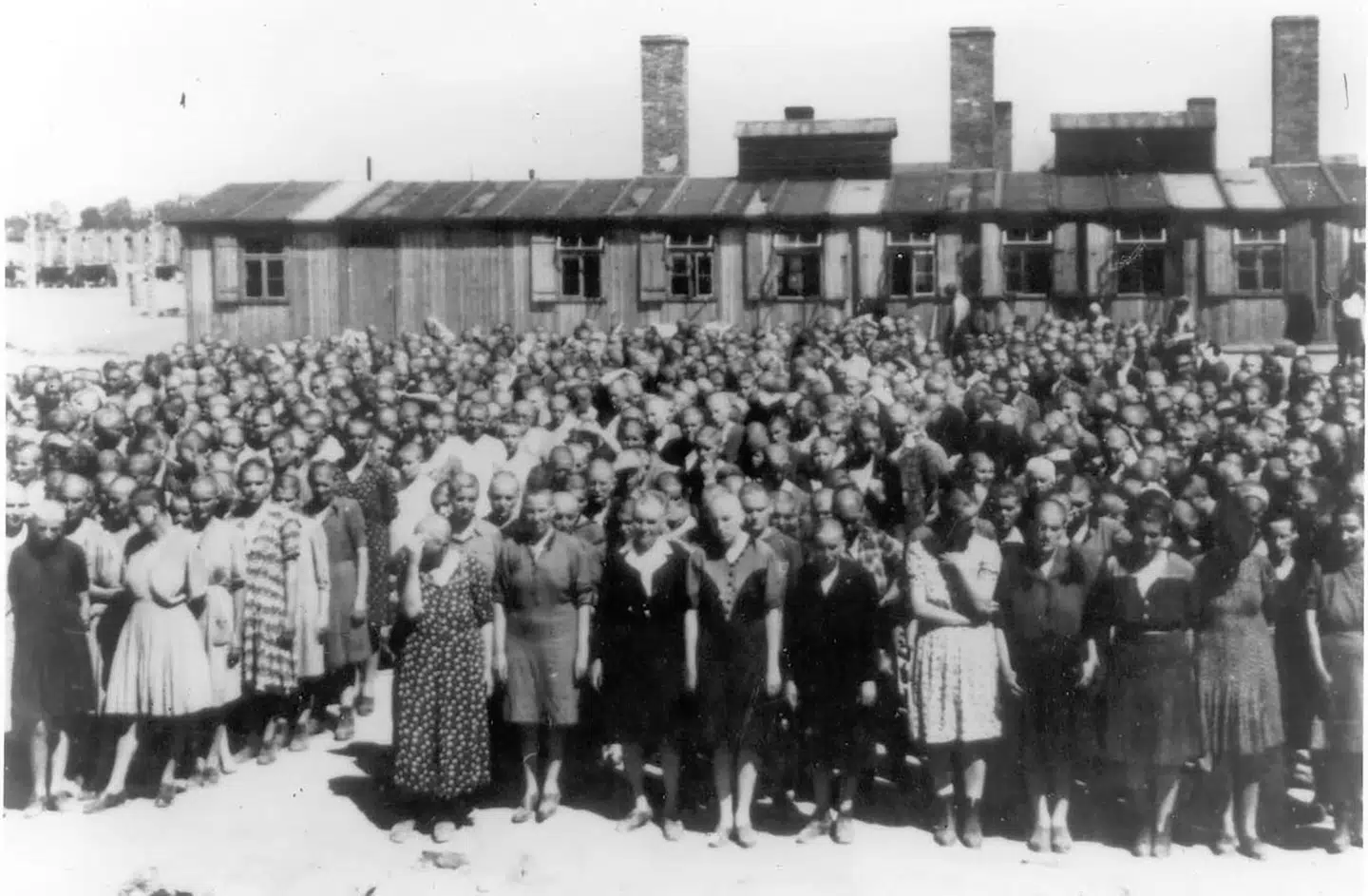 Ungarske jødiske kvinder. I forreste række til højre som nummer fire ses Lili Jacobs.