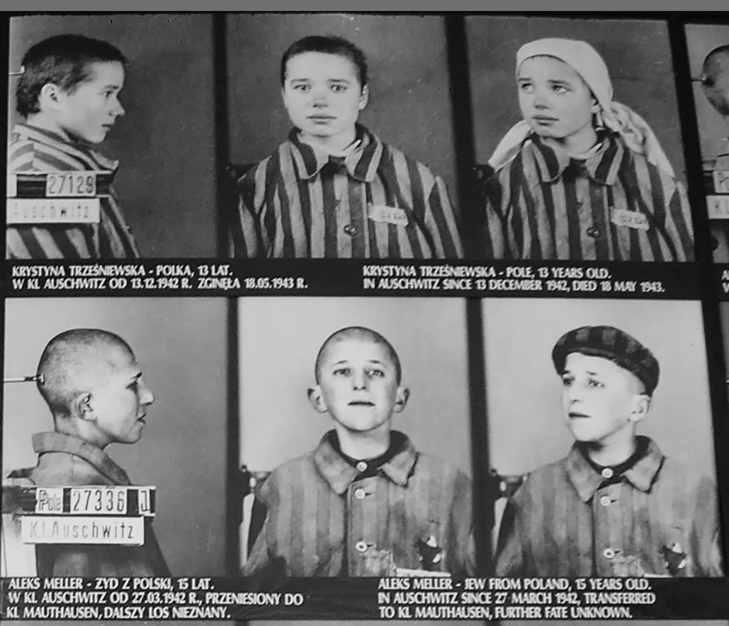 Krystyna Trzesniewska var 13 år gammel, da hun døde i lejren 18. maj 1943. Aleks Meller var 15 år gammel i marts 1942. Hans skæbne er ukendt.