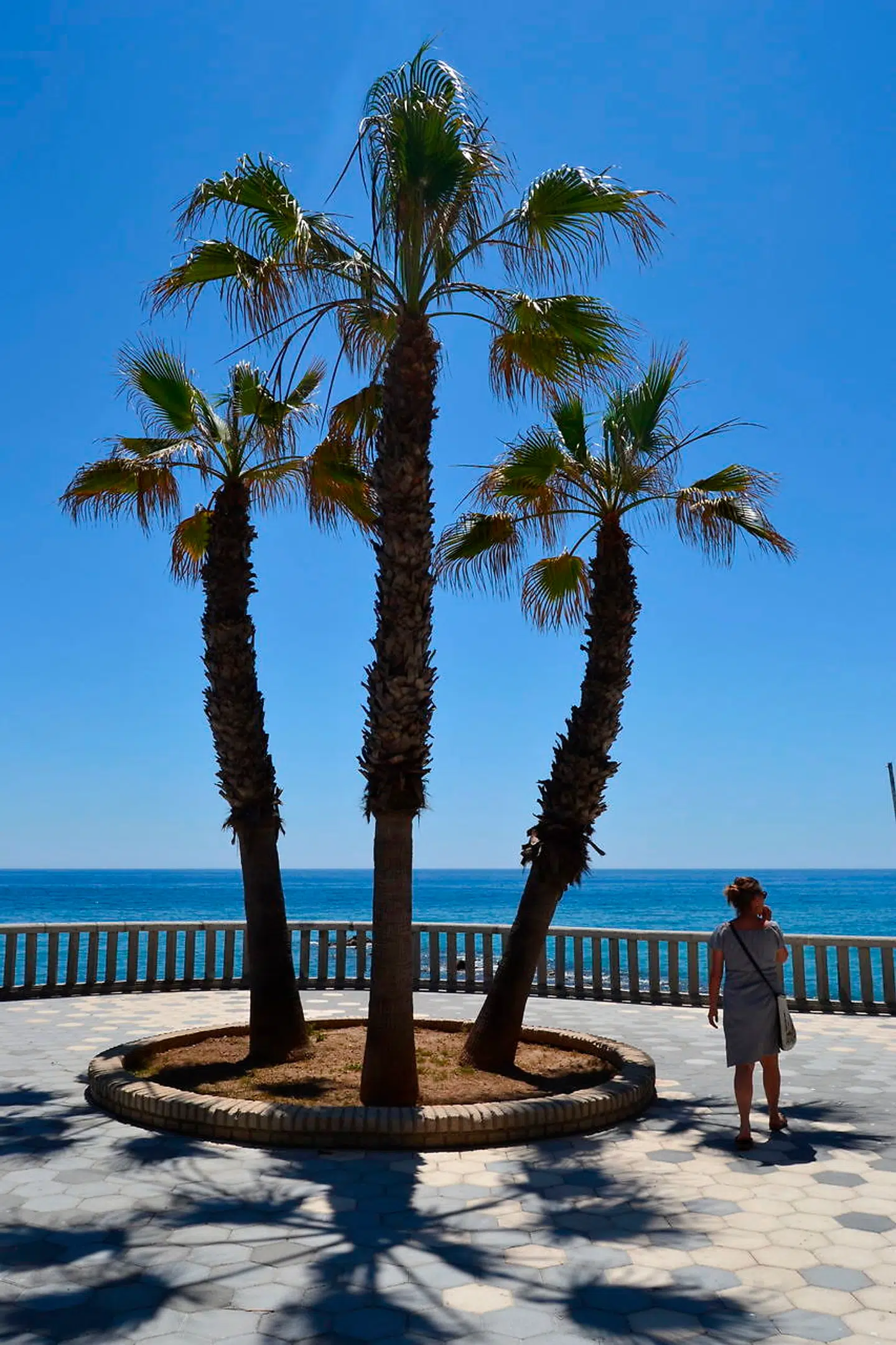 Almuñécars klima er tæt på tropisk. Solhungrende turister kan være heldige at opleve dage med sol og 20 grader selv i december og januar.