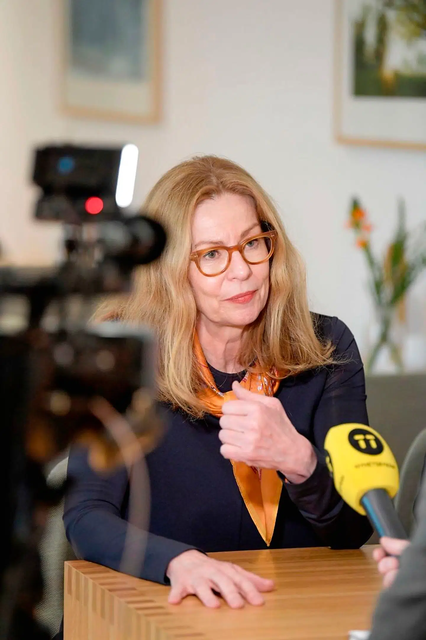 I efteråret 2018, da Danske Bank-sagen rullede, afviste Birgitte Bonnesen fuldstændigt, at Swedbank kunne være involveret i en potentiel hvidvask.