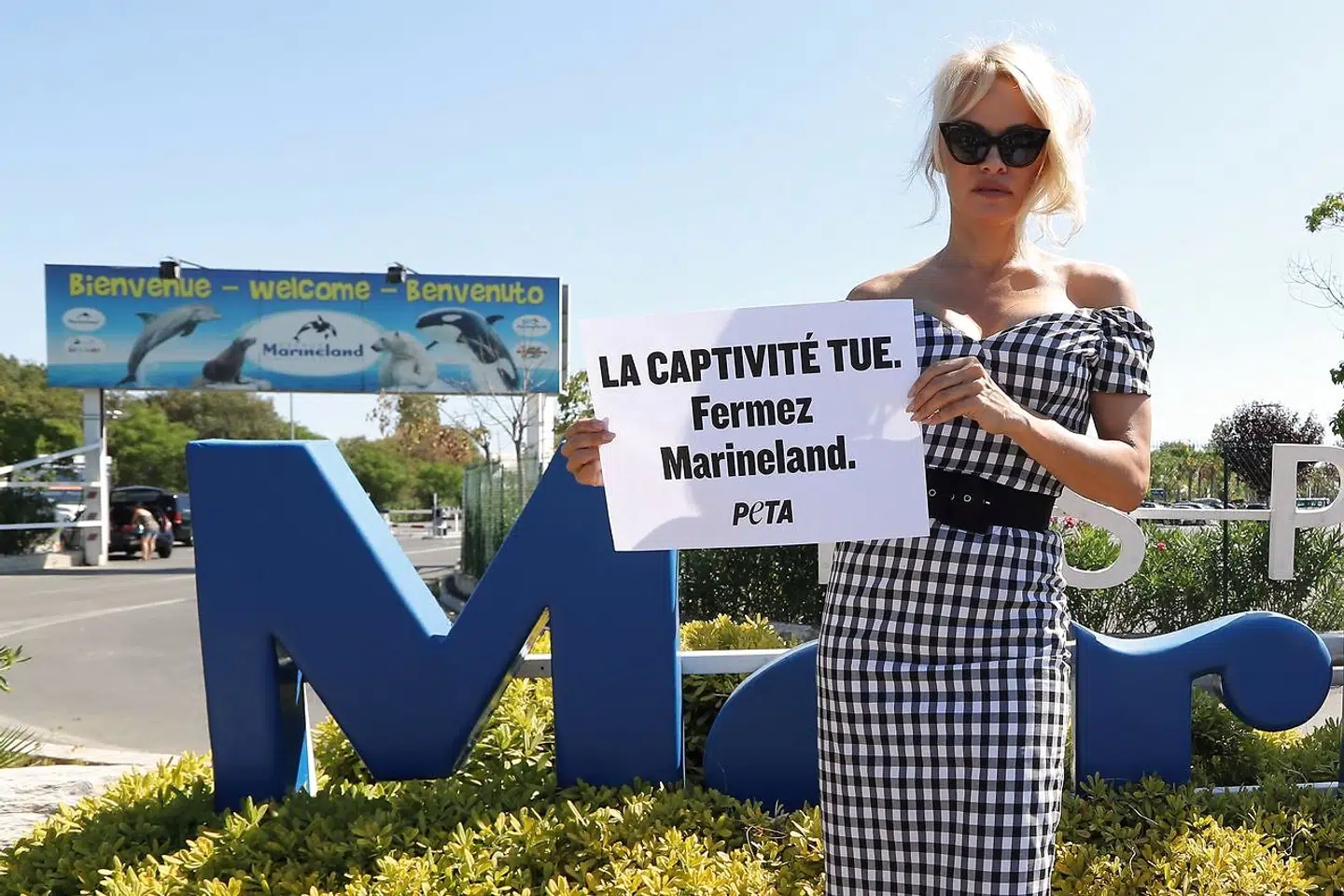 Den tidligere model og skuespillerinde Pamela Anderson protesterer foran Marineland, der har spækhuggere i deres dyresamling. Både dyrevelfærd og klimabeskyttelse er blandt stjernens mærkesager.