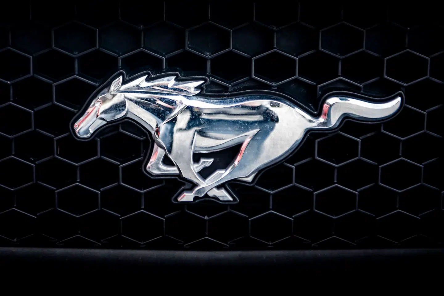 Den lille Mustang Pony er måske ikke så fin som arabiske raceheste, men den er udholdende og hurtig og leverer masser af værdi for pengene - akkurat som en Ford Mustang over for en BMW M3.