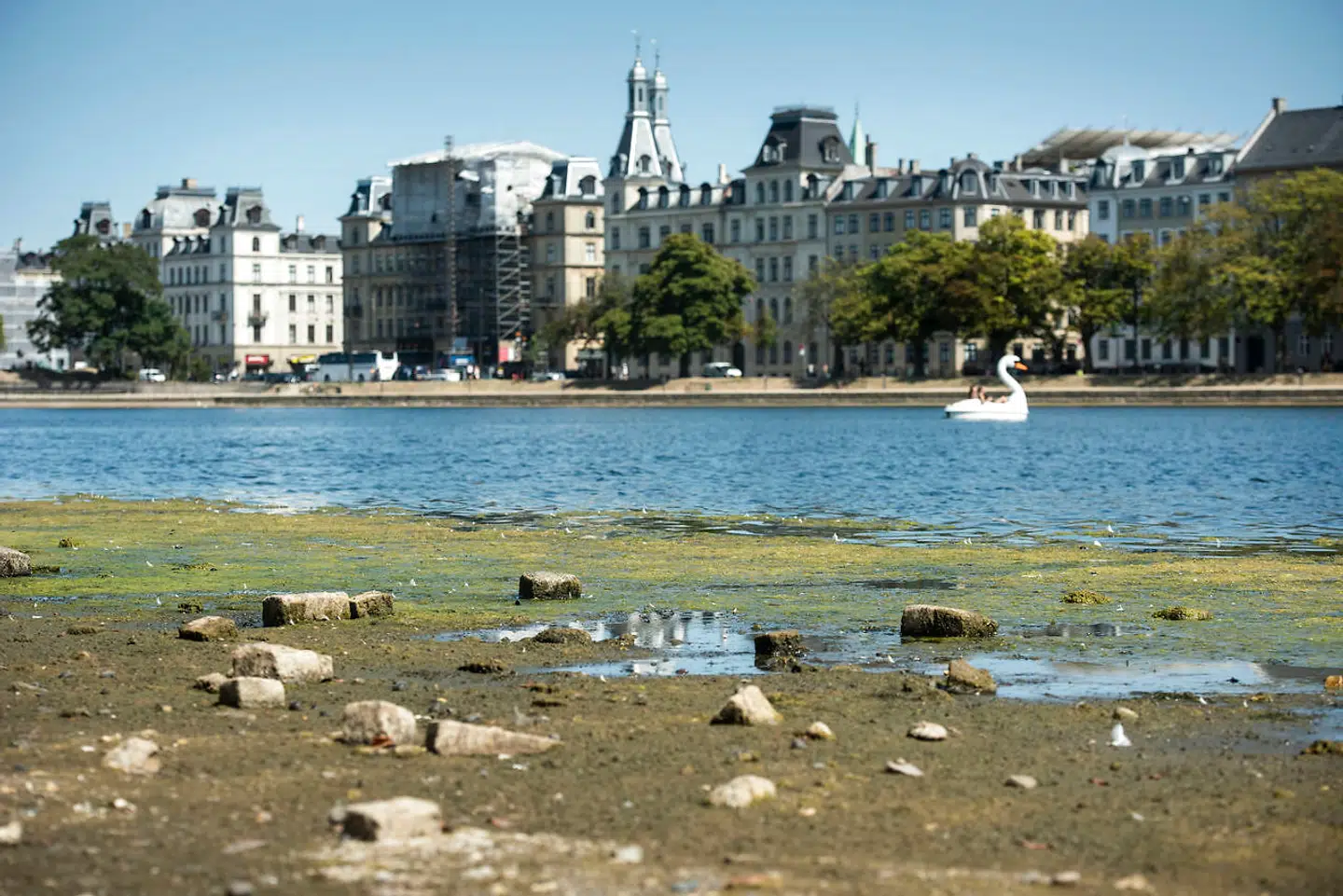 Danskerne skal ikke tænke længere tilbage end til sommeren 2018 for at blive mindet om det ekstreme vejr, som klimaforandringerne har medført. Sidste sommer blev Danmark nemlig ramt af rekordvarme temperaturer og tørke, som flere forskere vurderede, at klimaforandringerne bar en del af ansvaret for. I København tørrede søerne ud, som man kan se her.