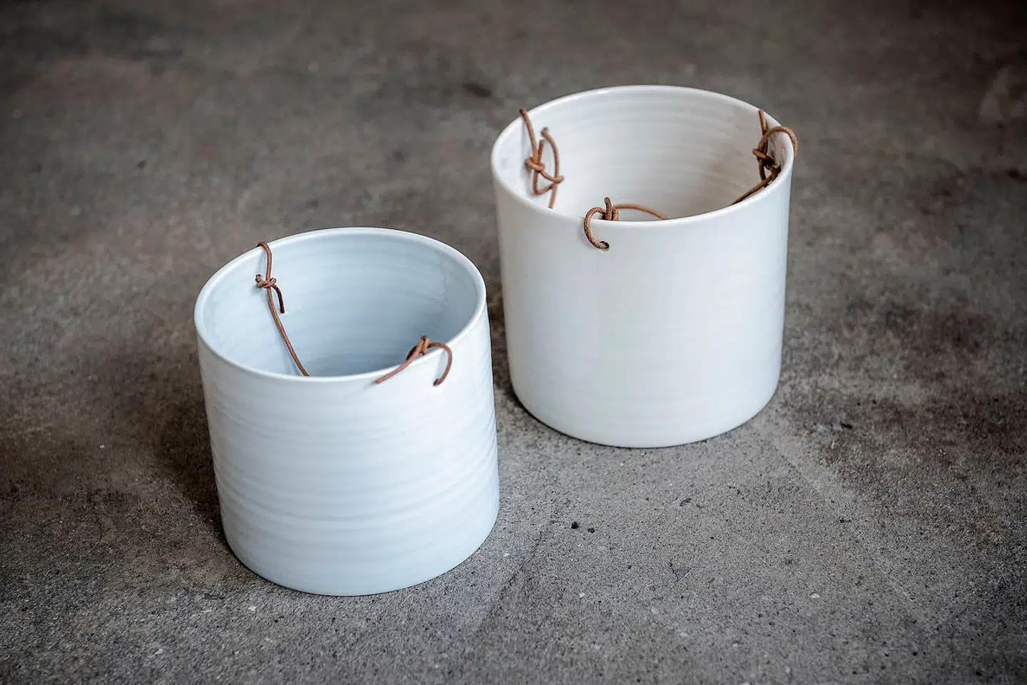 Ronald og Anne Blacks hængepotter til sammenligning. Her ses, at der i Ronalds hængepotte er to snore, hvor der i Anne Blacks er tre.