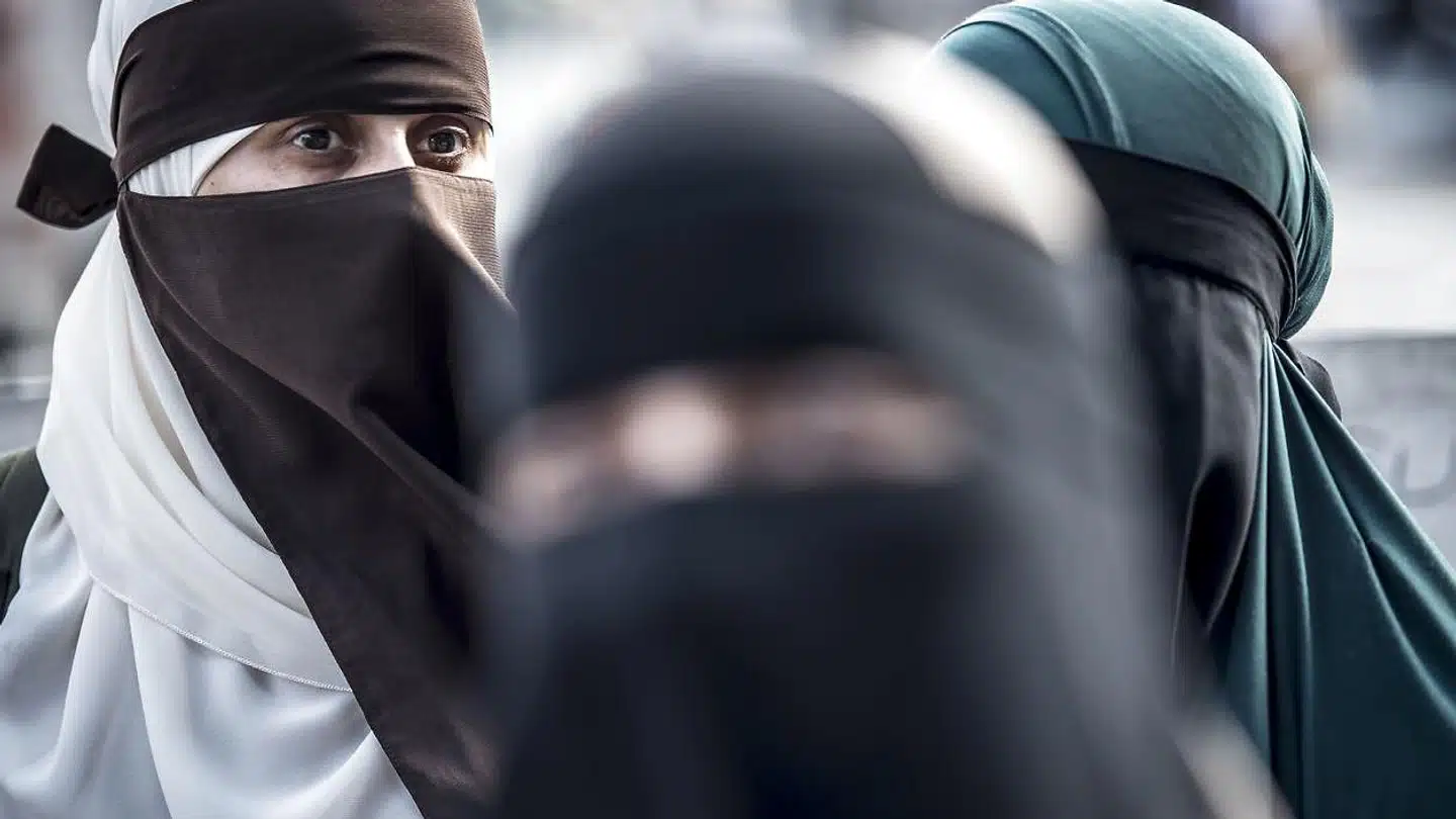 Ved udgangen af januar i år er der rejst 22 sigtelser og udskrevet 13 bøder for overtrædelse af den såkaldte burkalov.