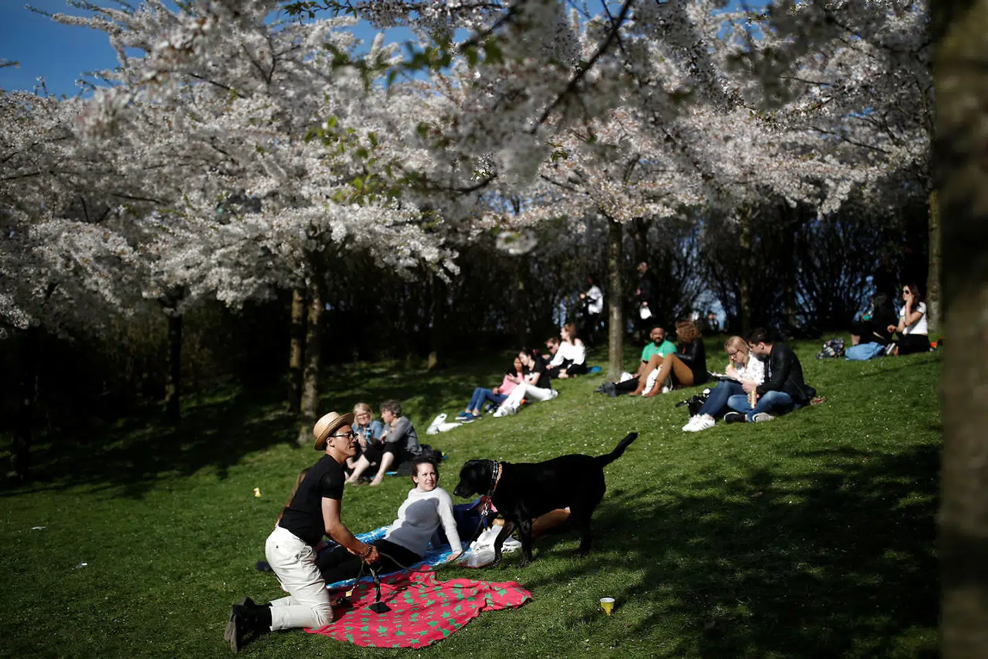 På langelinie Allé er der åbnet er der åbnet en ny bar, som forstyrrer roen i området og spreder skræk overalt, skriver Jens Lillelund, der er utilfreds med politiets juristers arbejdsgang.