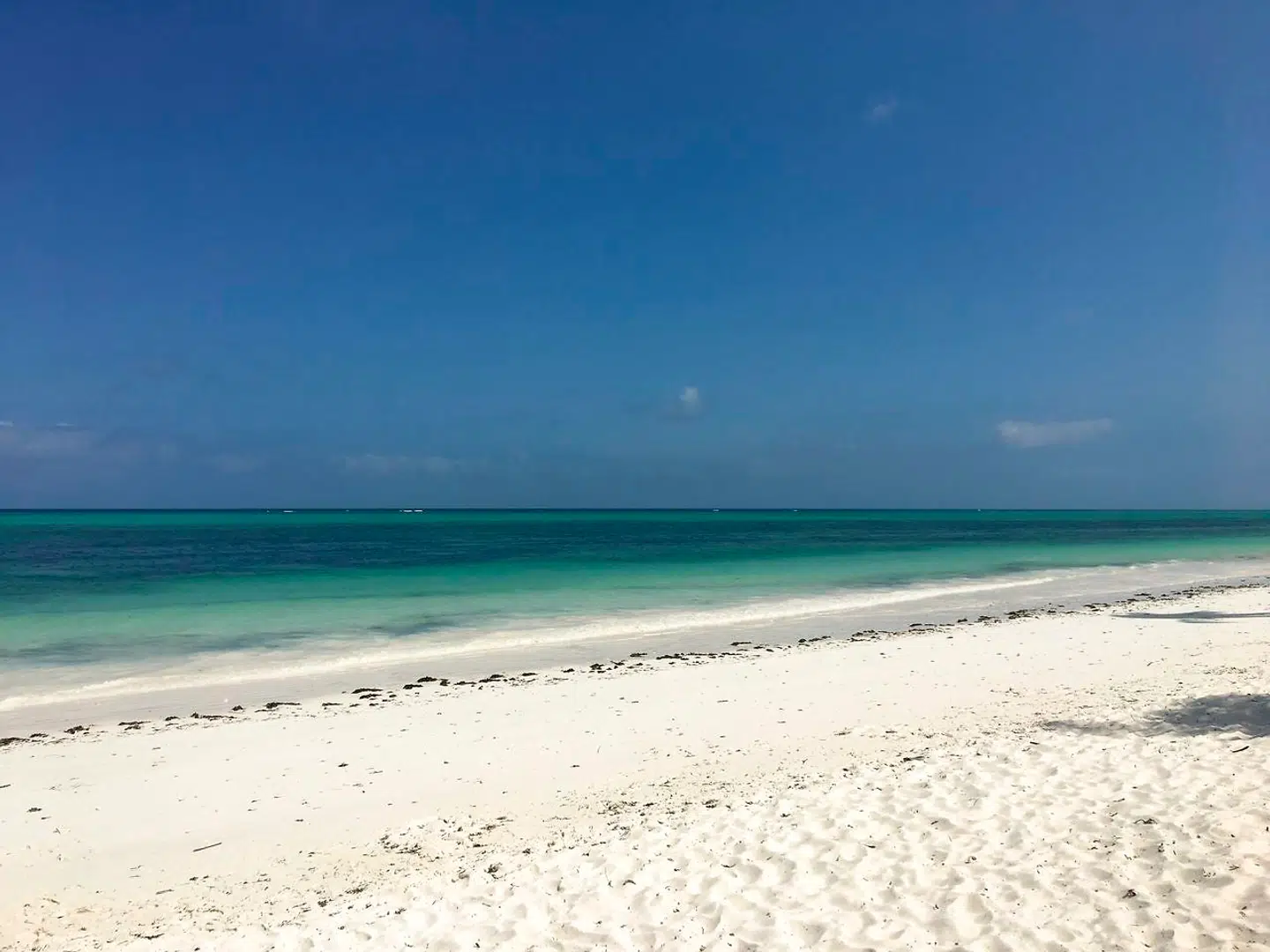 Zanzibar er kendt for sine hvide strande, men bag de Instagram-smukke motiver gemmer sig en farverig og folkloristisk kultur.