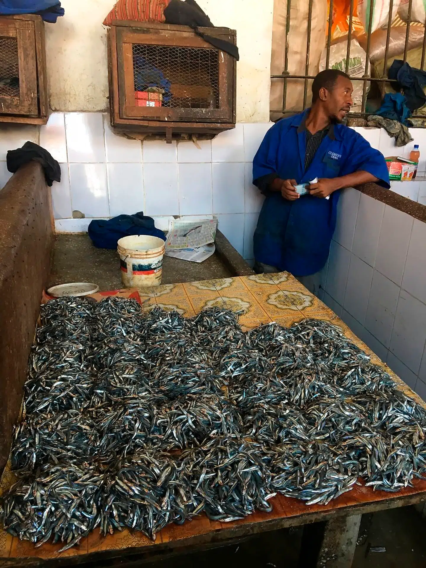 Sardiner i lange baner på Darajani Market i Stone Town.