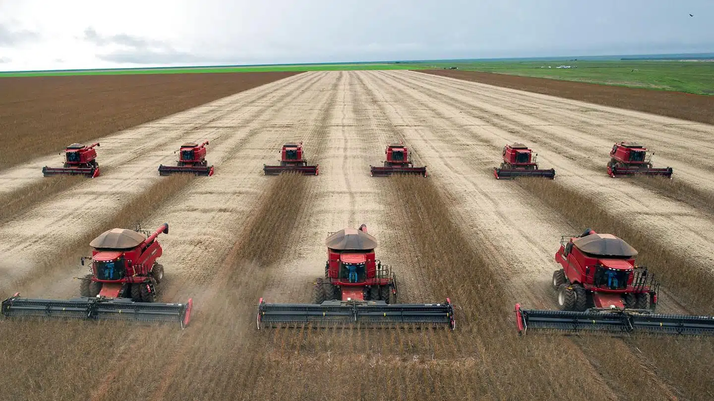 En hær af mejetærskere i færd med at få sojahøsten i hus i Brasilien. Om 40 år kan klodens landbrugsarealer være vokset med over 20 pct., hvilket ikke er bæredygtigt, advarer FN.