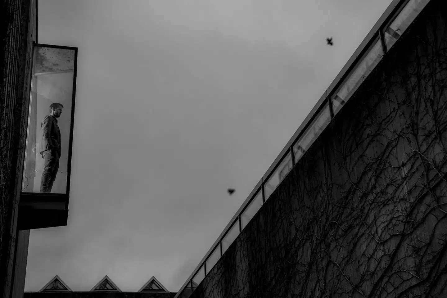 Svend Brinkmann - professor i almenpsykologi og kvalitative metoder på Det Humanistiske Fakultet på Aalborg Universitet - er nomineret til Læsernes bogpris for sin bog »Det sørgende dyr«.