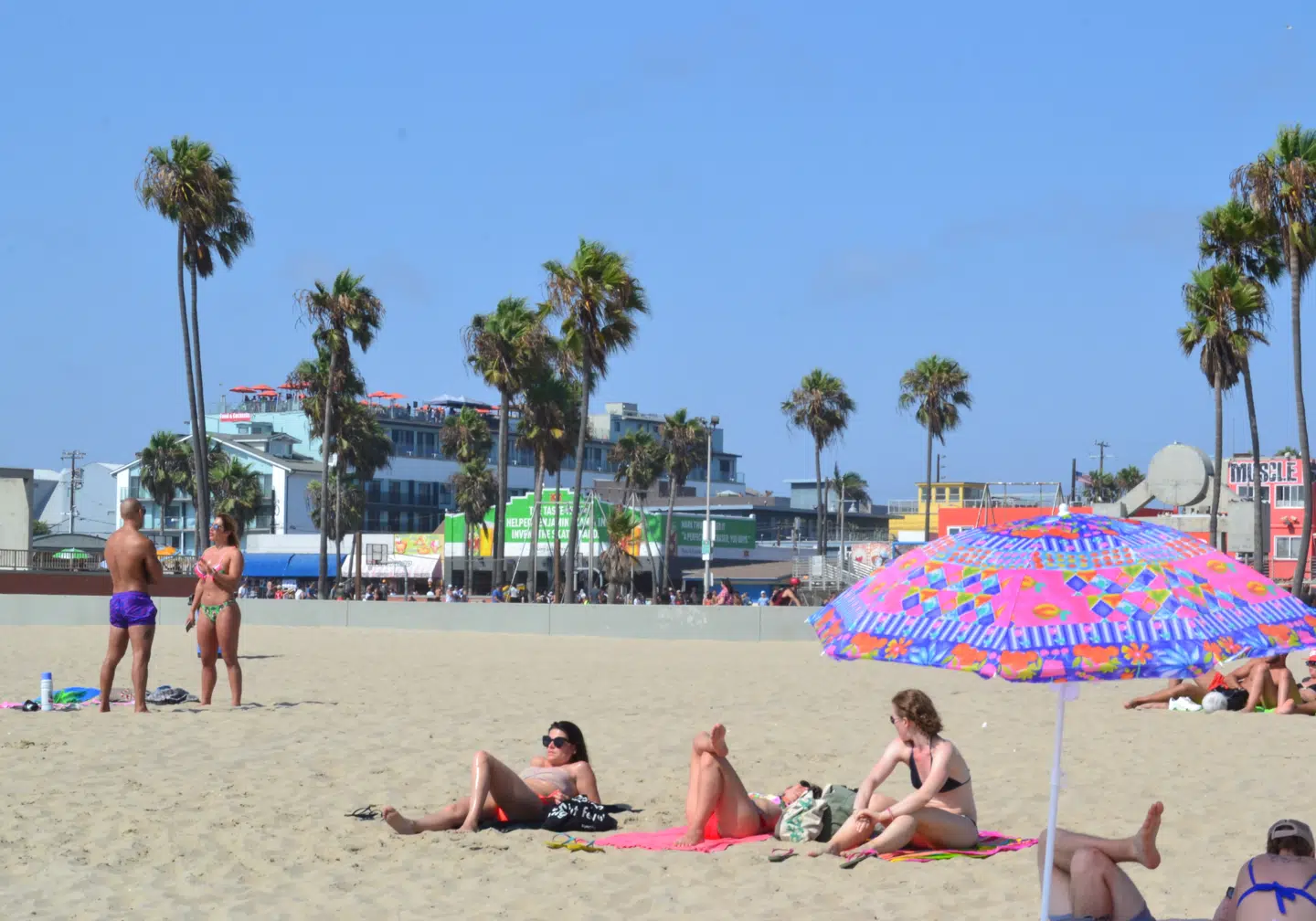 Palmer, parasoller og blå himmel – gode californiske klicheer står heldigvis i kø på Venice Beach.