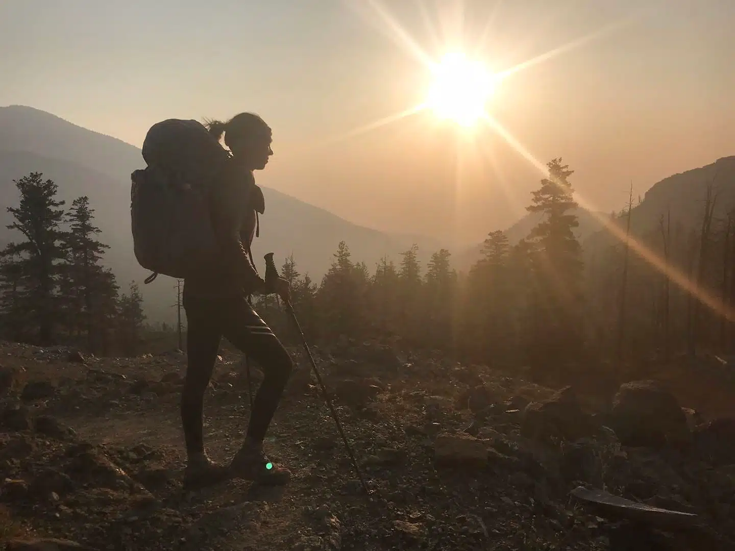 Gittte Holtzes bog giver lyst til at tage på vandretur. Lyst til at udforske den store, vilde smukke natur, om end ad mere ydmyge ruter. Lyst til at begrænse sit forbrug. Droppe brokkeriet over ligegyldigheder. Lyst til at opsøge krøllede små samfund og møde fremmede mennesker med sjove, mærkelige liv a la dem forfatteren møder undervejs.