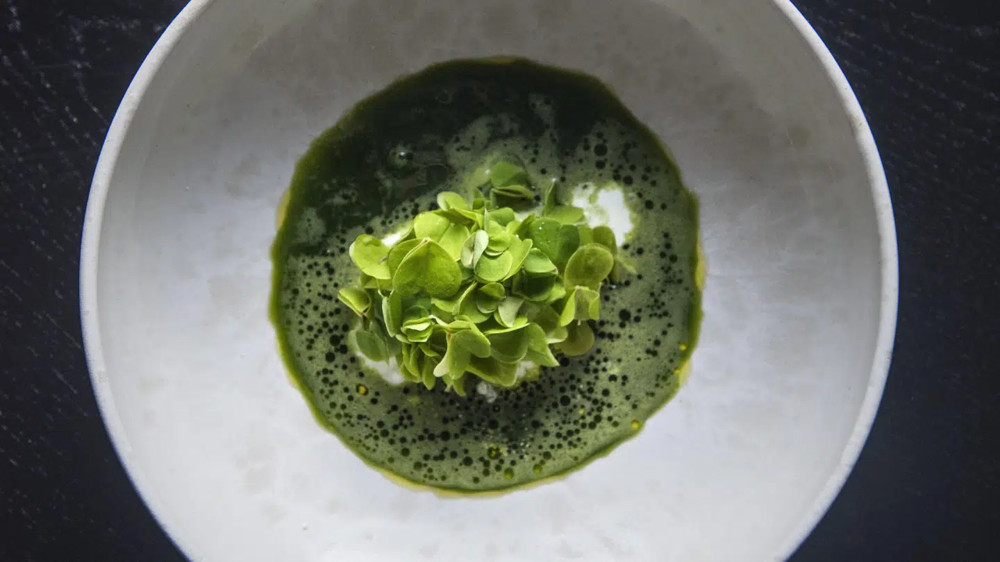 Dessert med hømælk overhældt med en smaragdgrøn olier på have- og skovsyre.