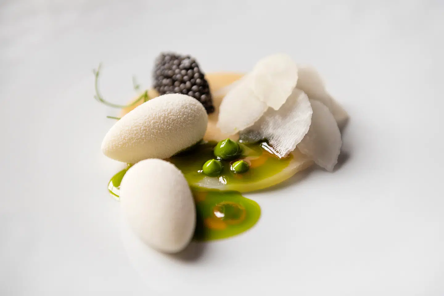 Søllerød Kro madanmeldelse. Kammusling m jordskokkeis og kaviar