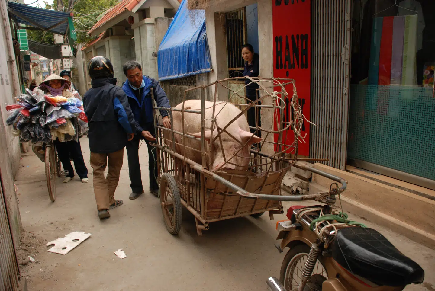 I Hanois gamle bydel kan man opleve folkelivet, som det har foldet sig ud i årtier. Foto: Thomas Bo Pedersen.