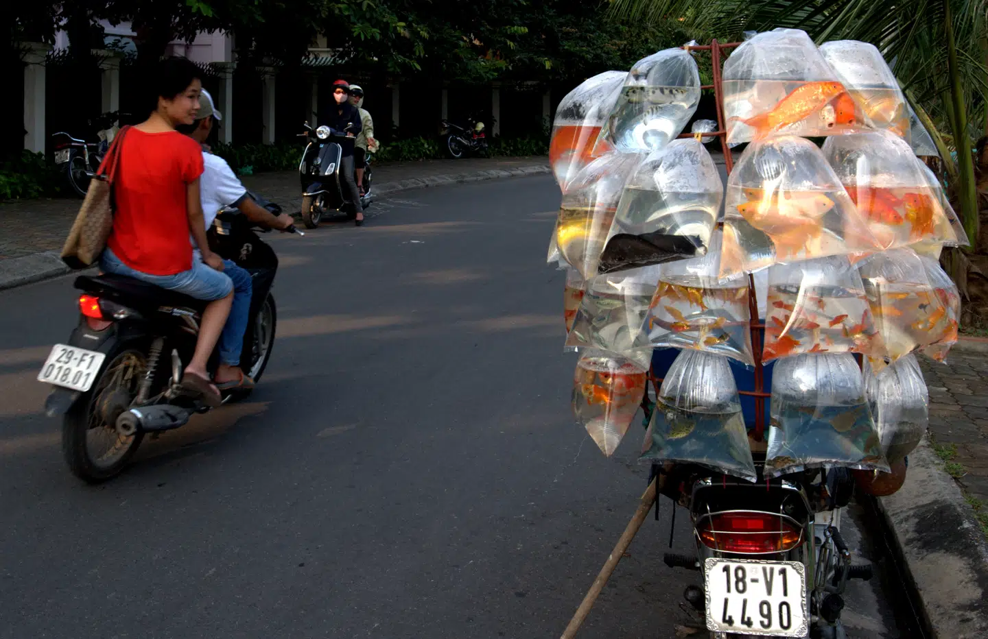 I Hanois gamle bydel kan man opleve folkelivet, som det har foldet sig ud i årtier. Foto: Thomas Bo Pedersen.