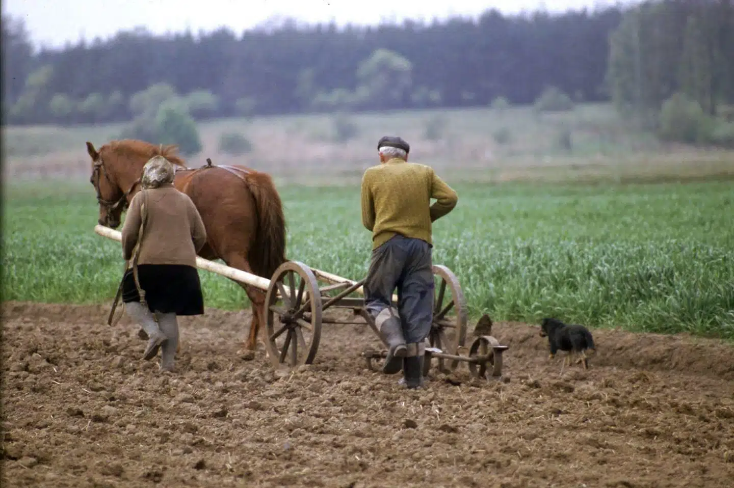 Danskerne længes tilbage til forsvundne tider ifølge en ny meningsmåling. Bjarke Møller mener, at vi i stedet bør alliere os med Macron, Merkel og andre fremsynede europæere, forme fremtiden aktivt og sætte vores præg på EU uden frygt og forbehold.