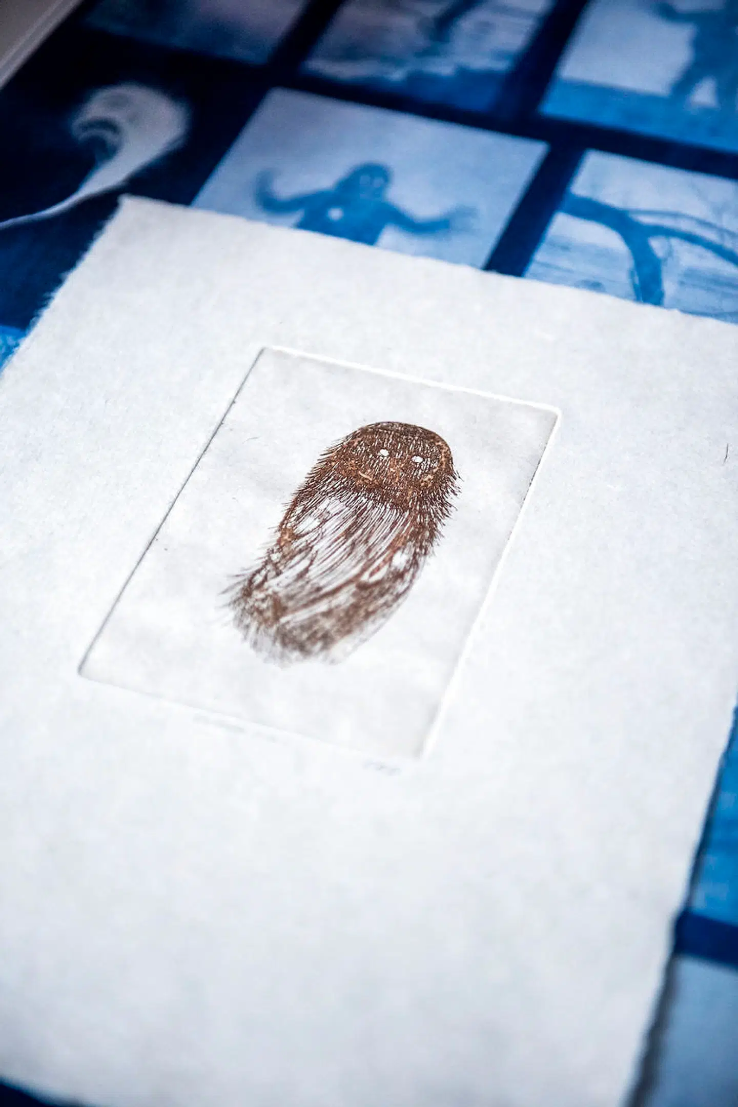 Fine kobberstik indgår også i udstillingen »Totem«.