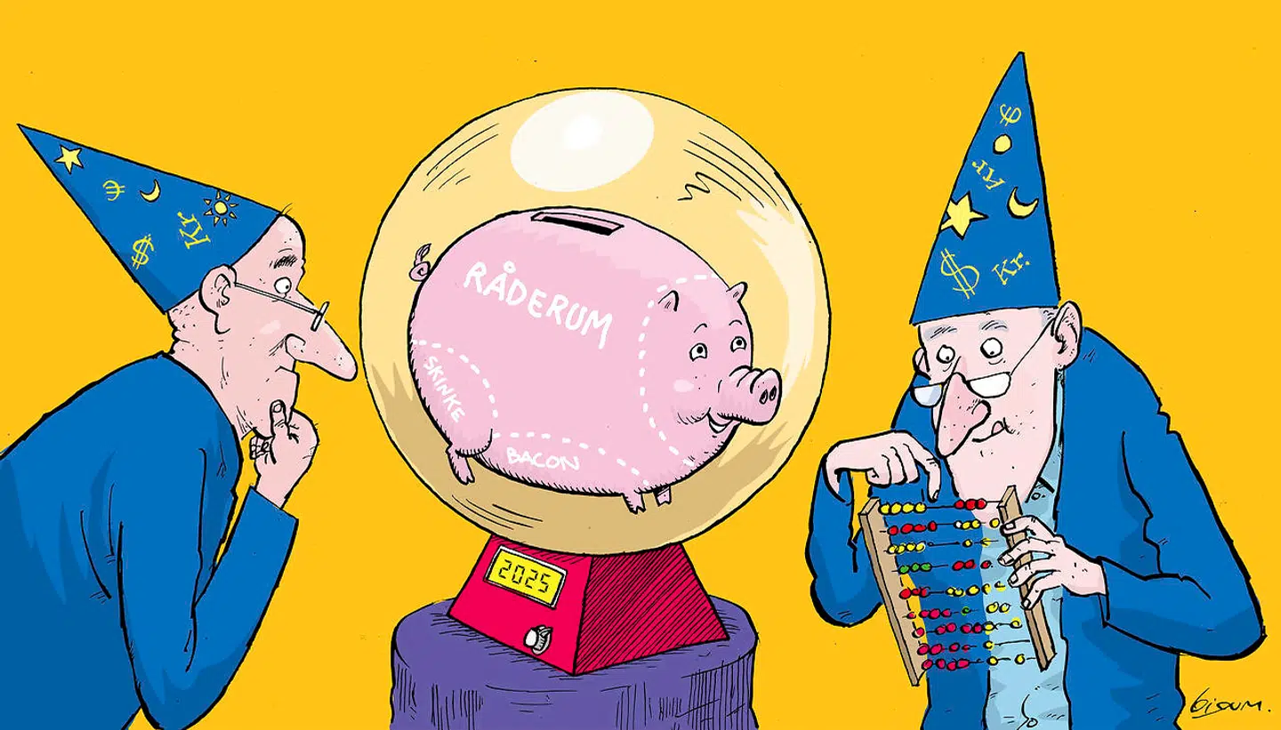 Det økonomiske råderum kan betegnes som »det politiske albuerum,« siger Søs Marie Serup, der i tre år var særlig rådgiver i Finansministeriet.