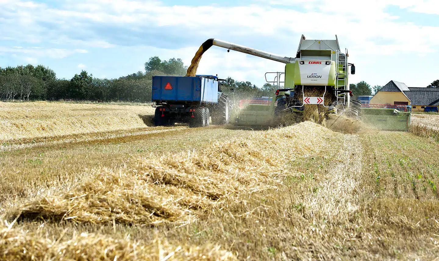 - Jeg kan ikke garantere nogen tal, men jeg kan garantere, at engagementet ude blandt landmændene er stort, siger formanden for Landbrug og Fødevarer, Martin Merrild. (Foto: Henning Bagger/Ritzau Scanpix)