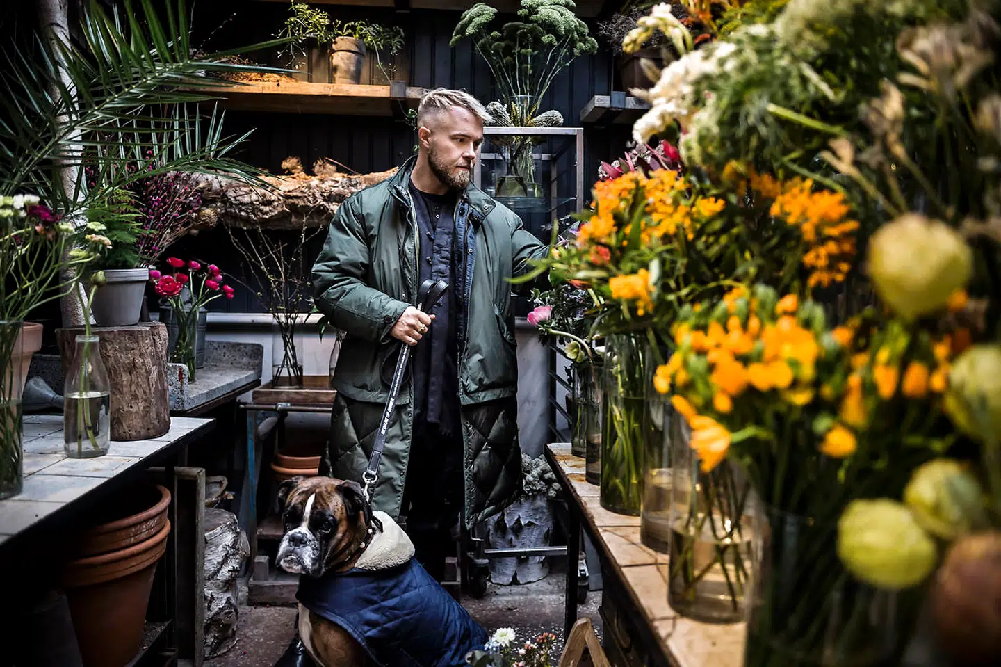 Peter Falktoft bor med sin boxer, Rihanna, i kvarteret omkring Værnedamsvej.