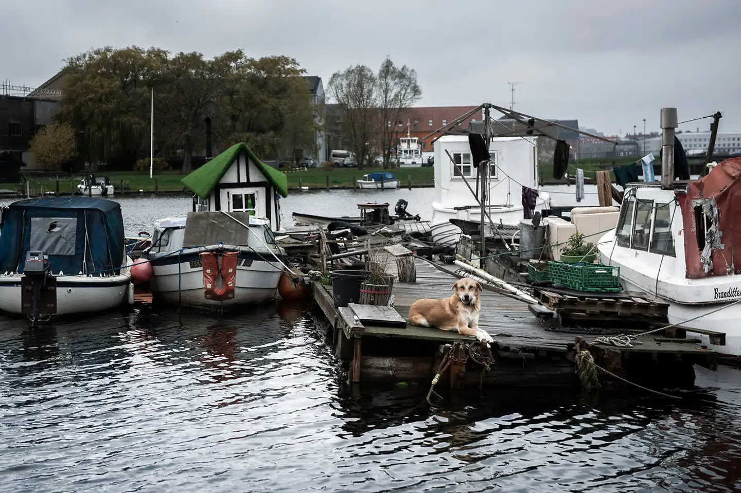 Fredens Havn skal ryddes