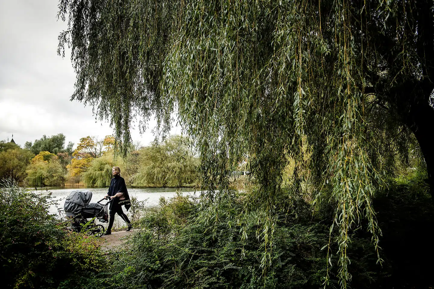 Måske er Søerne smukkest om sommeren, når træerne er sprunget ud, og alting er grønt. Partiet er fra Sankt Jørgens Sø, der nu muligvis skal ændres – lavere vandstand og udbyggede parkarealer – som et led i klimasikringen af byen.
