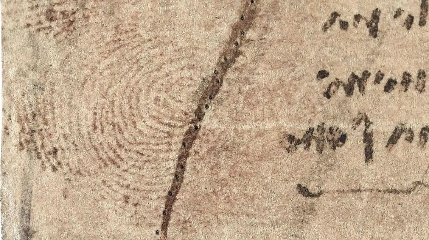 Det tydeligste fingeraftryk, Leonardo da Vinci efterlod sig. Detalje fra tegning af kvindelig anatomi, ca. 1509-10. Foto: The Royal Collection.