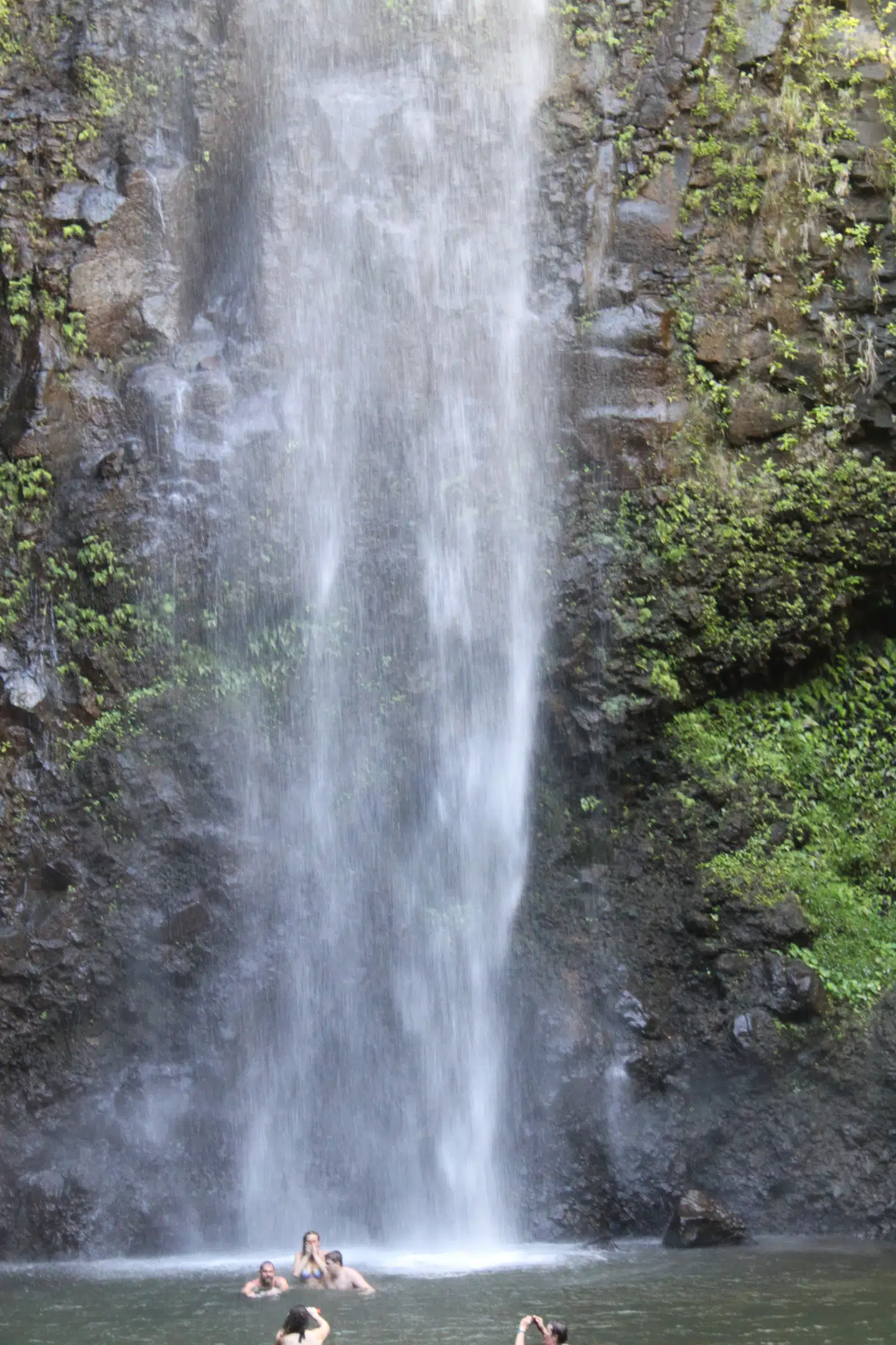 Kauai er en meget grøn ø med mange vandfald.