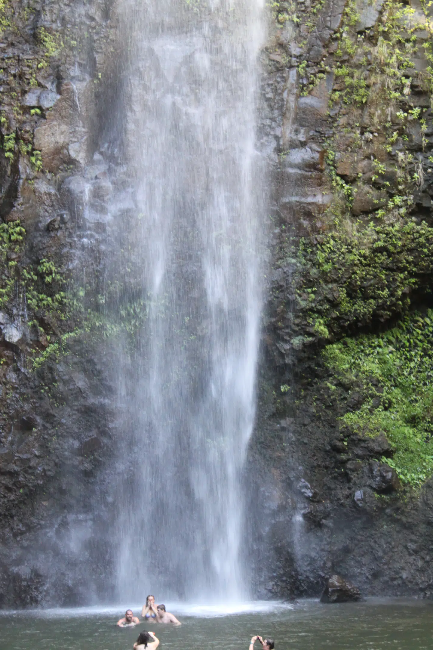 Kauai er en meget grøn ø med mange vandfald.