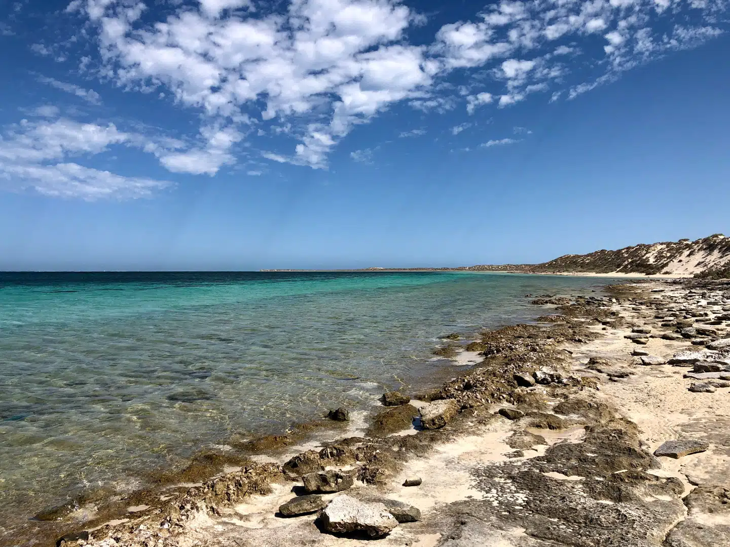 Kysten ved Ningaloo Reef. Ningaloo Reef er et af verdens største kystnære rev.