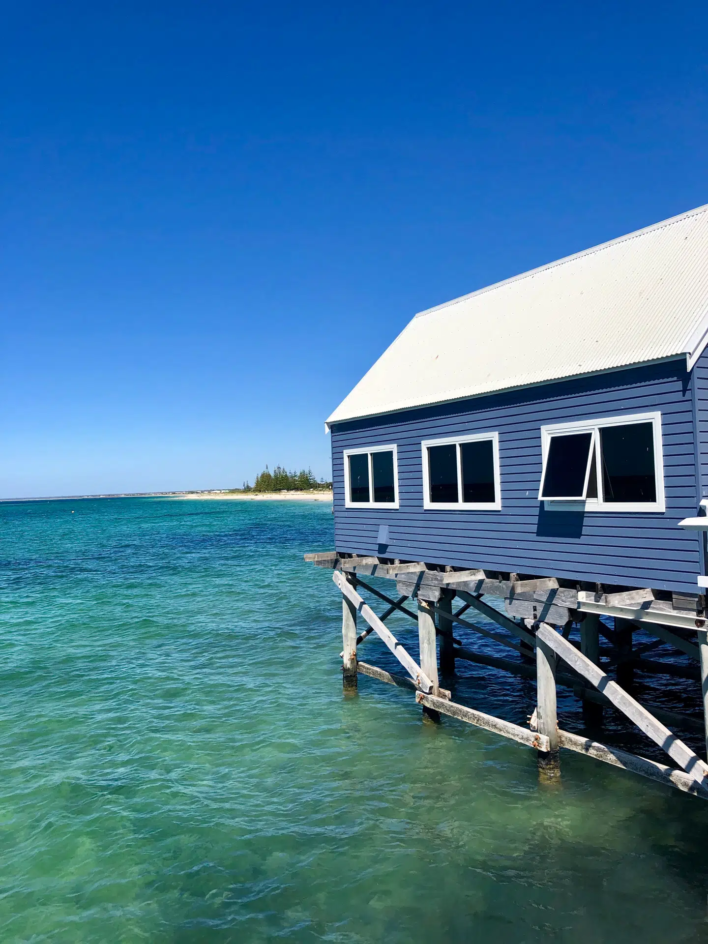 Ved Busselton Jetty kan du fiske blæksprutter langs den 153-årige mole.