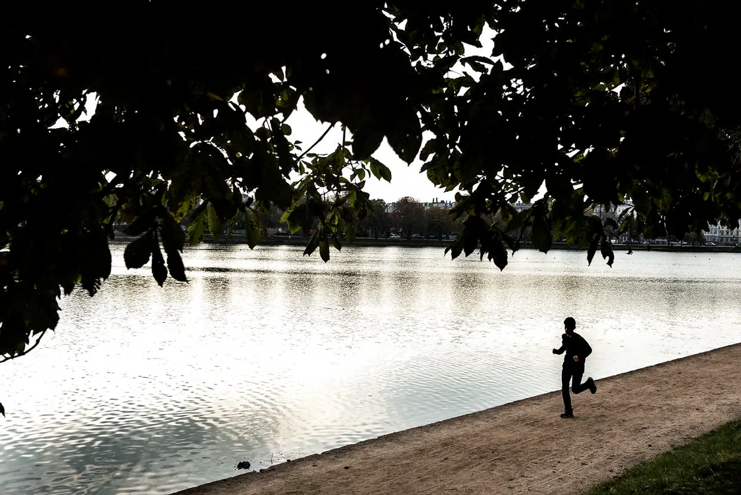 Sortedamssøen rummer ifølge øjenvidner en ægte søslange og er under alle omstændigheder mere grønlig end hovedstadens øvrige søer. Foto: Malene Anthony Nielsen