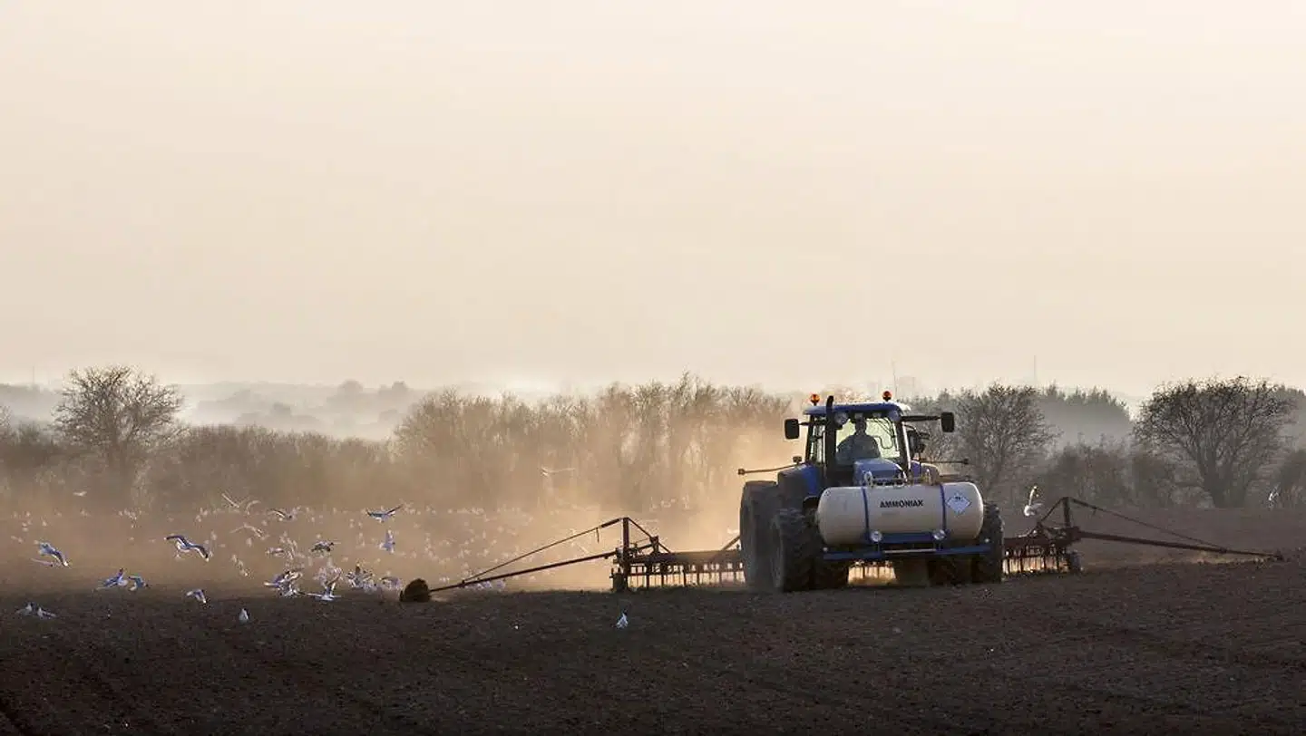Traktor harver mark og nedlægger ammoniak samtidig, før såning. Ved nedfældning af den flydende ammoniak bliver der dannet ammoniumioner, der kan bruges som gødning af planterne. Billedet er et arkivbilede, som ikke umiddelbart har noget med landbrugspakken at gøre.
