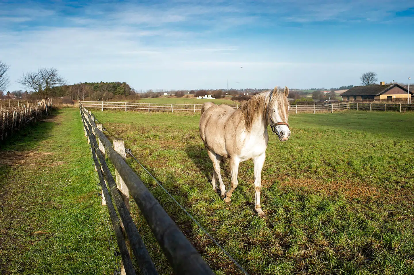 Det er ikke nemt at holde fri, når man har udskiftet bylivet med en firelænget gård og heste, får og grise i baghaven.