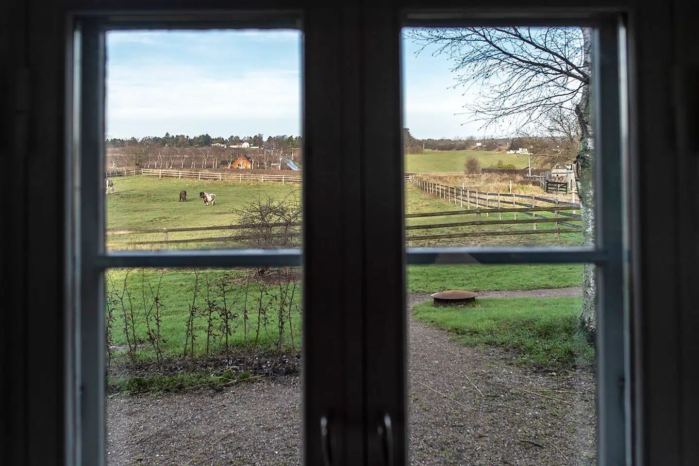 Louise og Thomas Køster elsker udsigten over naturen mere end noget andet ved deres hjem.