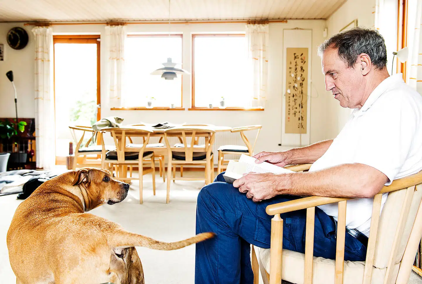 Selve strukturen i regeringens nye sundhedsreform ligner den, vi kender i dag. Der er bare kommet nogle nye navne i kasserne, mener Torben Mogensen, mangeårig lægelig direktør på Hvidovre Hospital og fortsat dybt engageret i det danske sundhedsvæsen.