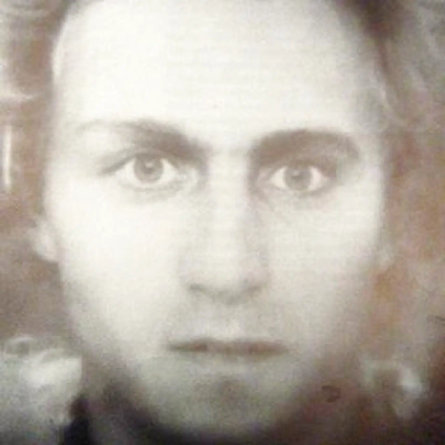 Et såkaldt fantombillede af Mozart – kreeret af det tyske forbundspoliti på baggrund af malerier og vidneudsagn.