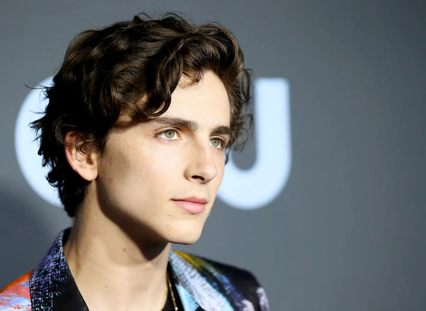 Timothée Chalamet fik det store gennembrud med sidste års »Call me by your name«. Hans nyeste rolle i »Beautiful Boy« bør kun gøre hypen større, mener vores anmelder